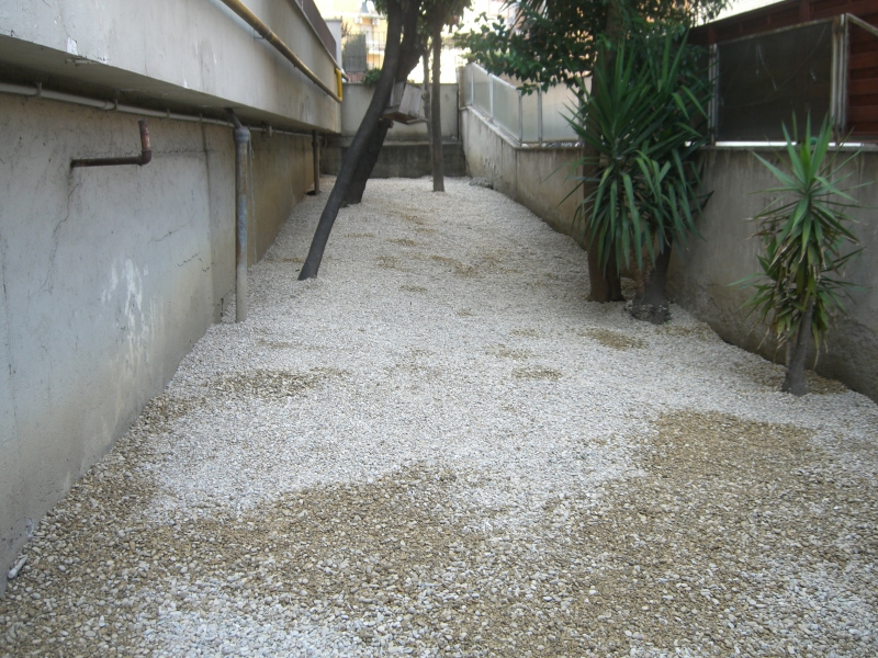 Giardinaggio e manutenzione del verde a Roma