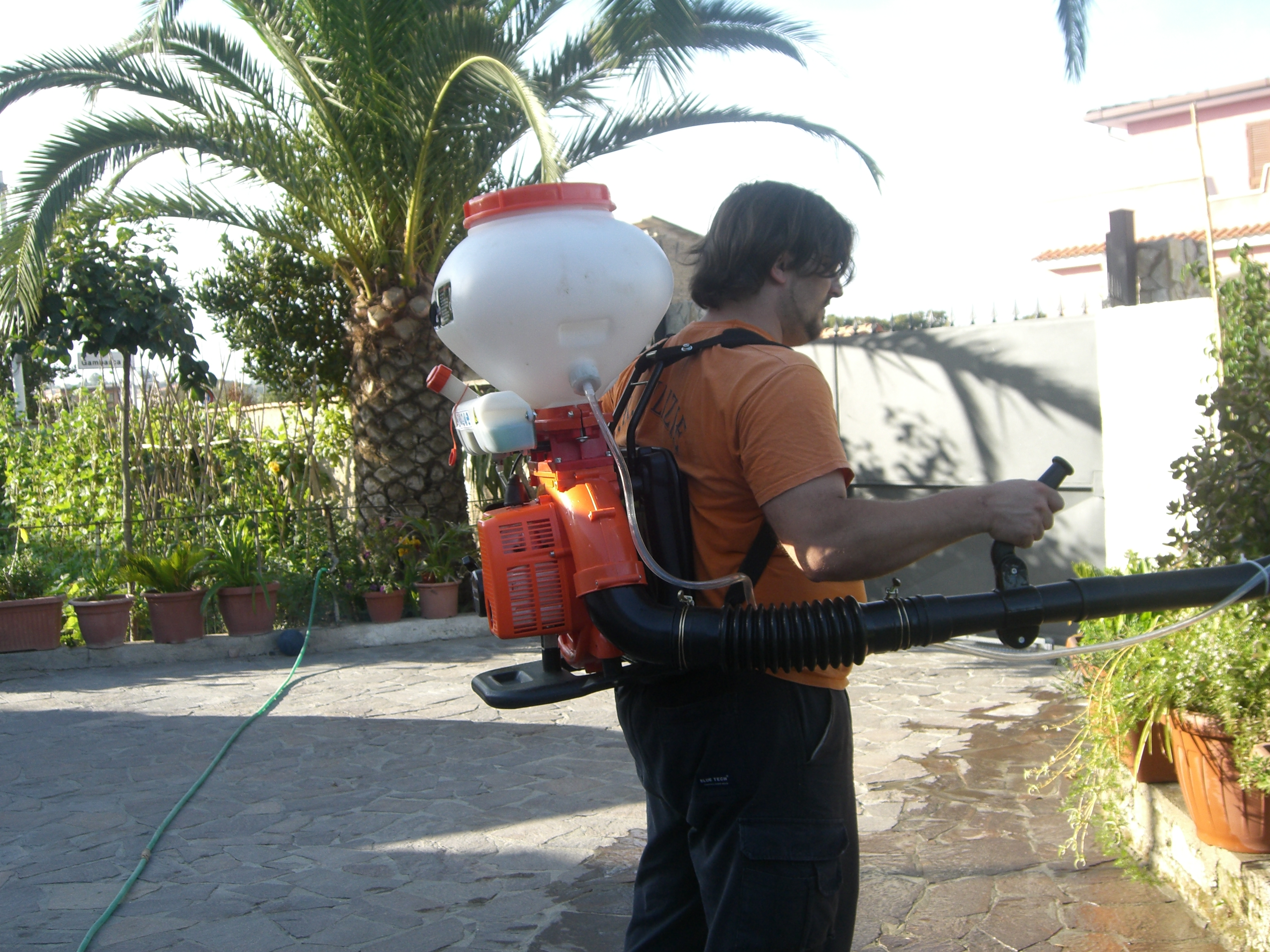lavori di giardinaggio a Roma